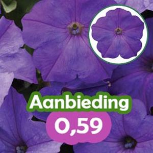 Bild von Petunia P12 "Actie" Ew Lavender Sky